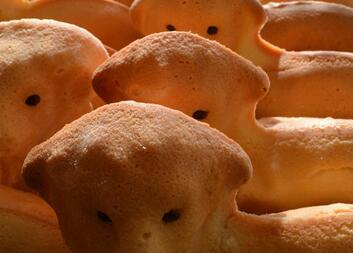 Otevřená srdce pro Afriku!