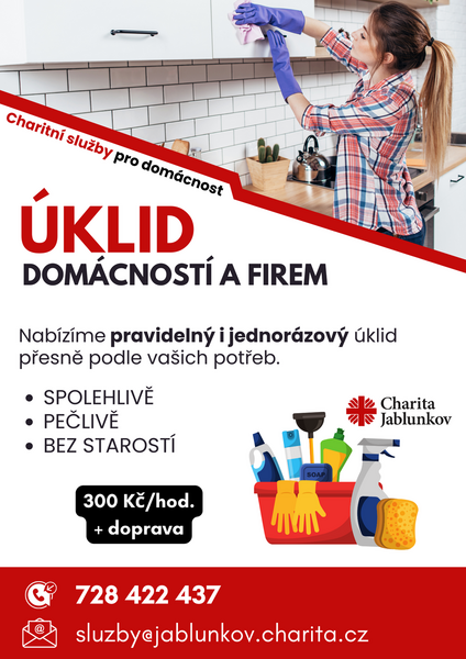 ÚKLID domácností a firem