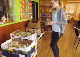 brigáda balení koláčů